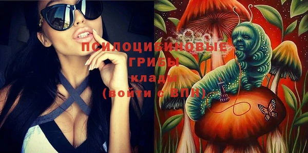 прущие грибы Балабаново