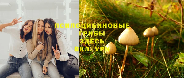 гидропоника Балахна