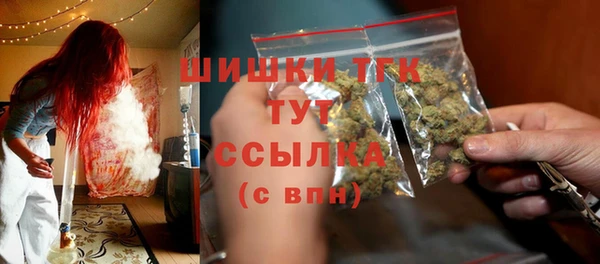 прущие грибы Балабаново